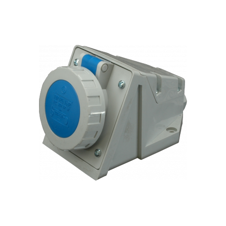 SEZ IZG sieninis lizdas