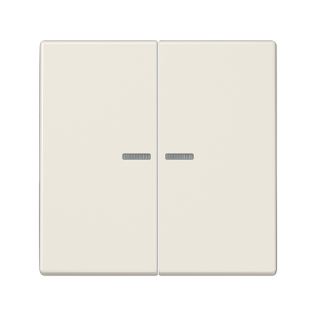 JUNG LS 990 Double Switch Buttons with Illuminated Glass Frame