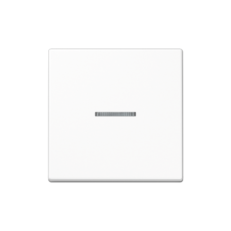 JUNG A viengubo jungiklio klavišas su apšvietimo stikliuku