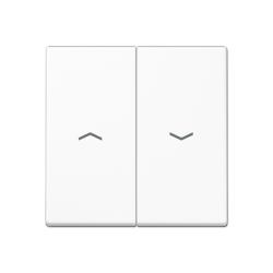 JUNG A dvigubo jungiklio klavišai su rodyklėmis