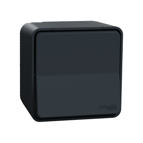 SCHNEIDER ELECTRIC Mureva virštinkinis jungiklis